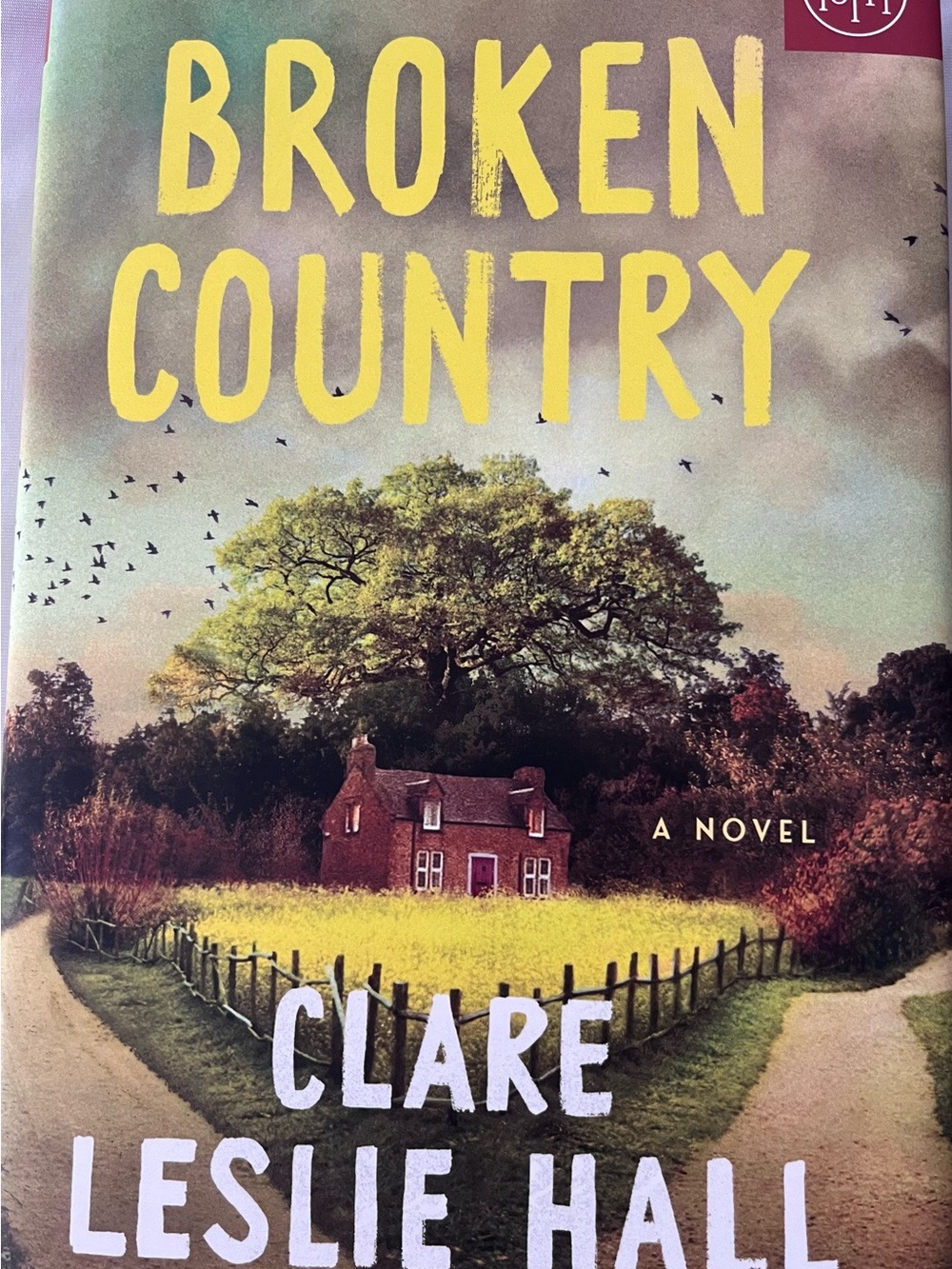 Broken Country by Clare Leslie Hall – Yellow Cover Edition